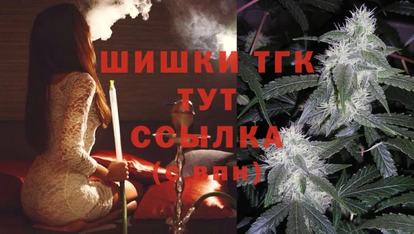 ешки Мегион
