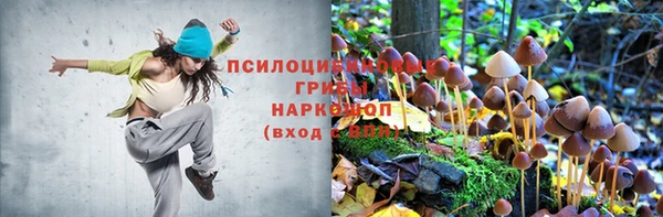 герыч Магас
