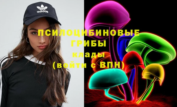 герыч Магас