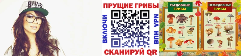 Галлюциногенные грибы Psilocybine cubensis  Купить  Павловский Посад 