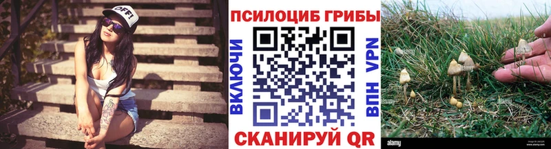 Галлюциногенные грибы Psilocybe Павловский Посад